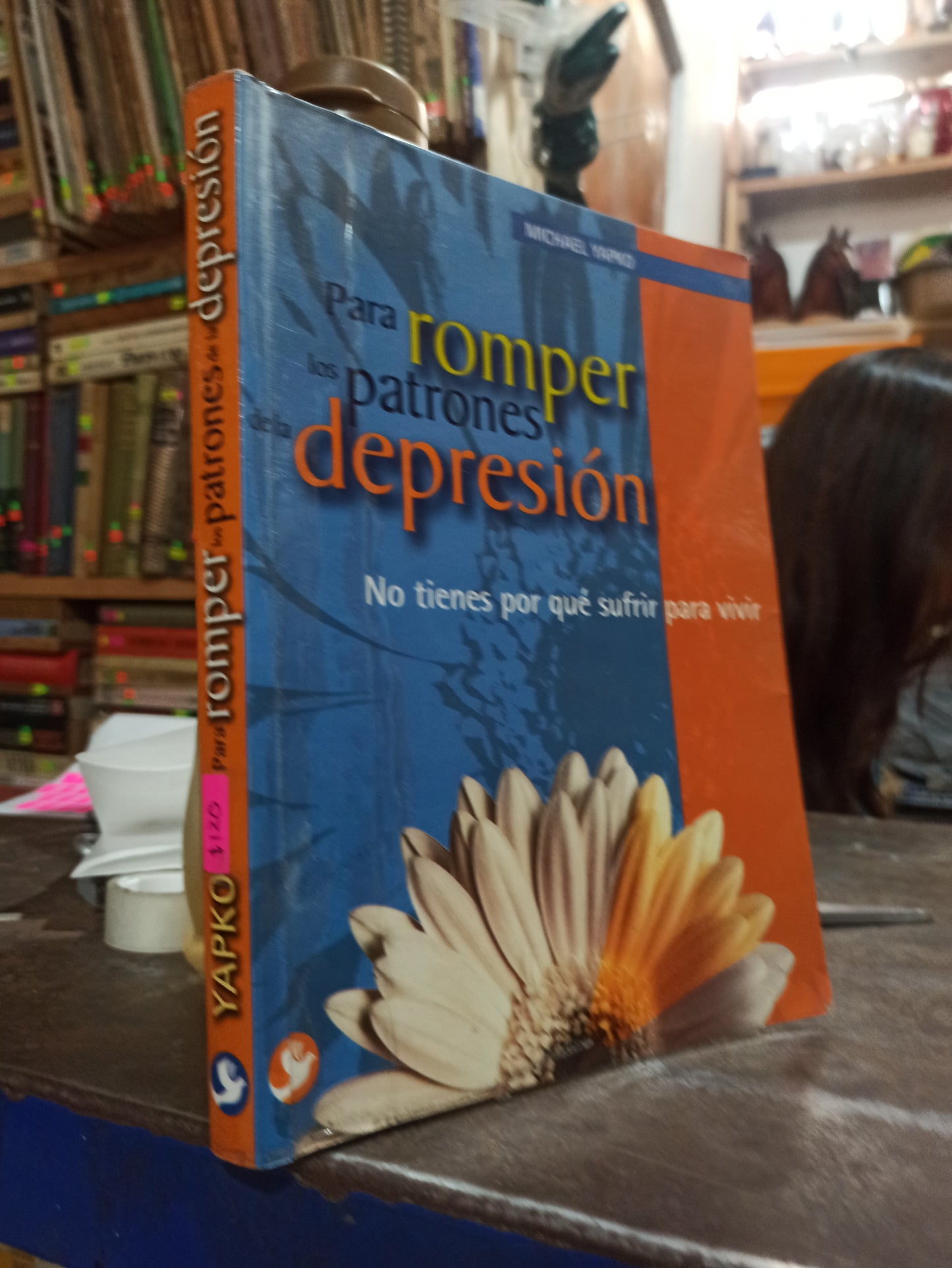 PARA ROMPER LOS PATRONES DE LA DEPRESION POR MICHAEL YAPKO USADO PSICOLOGÍA ALDAMA