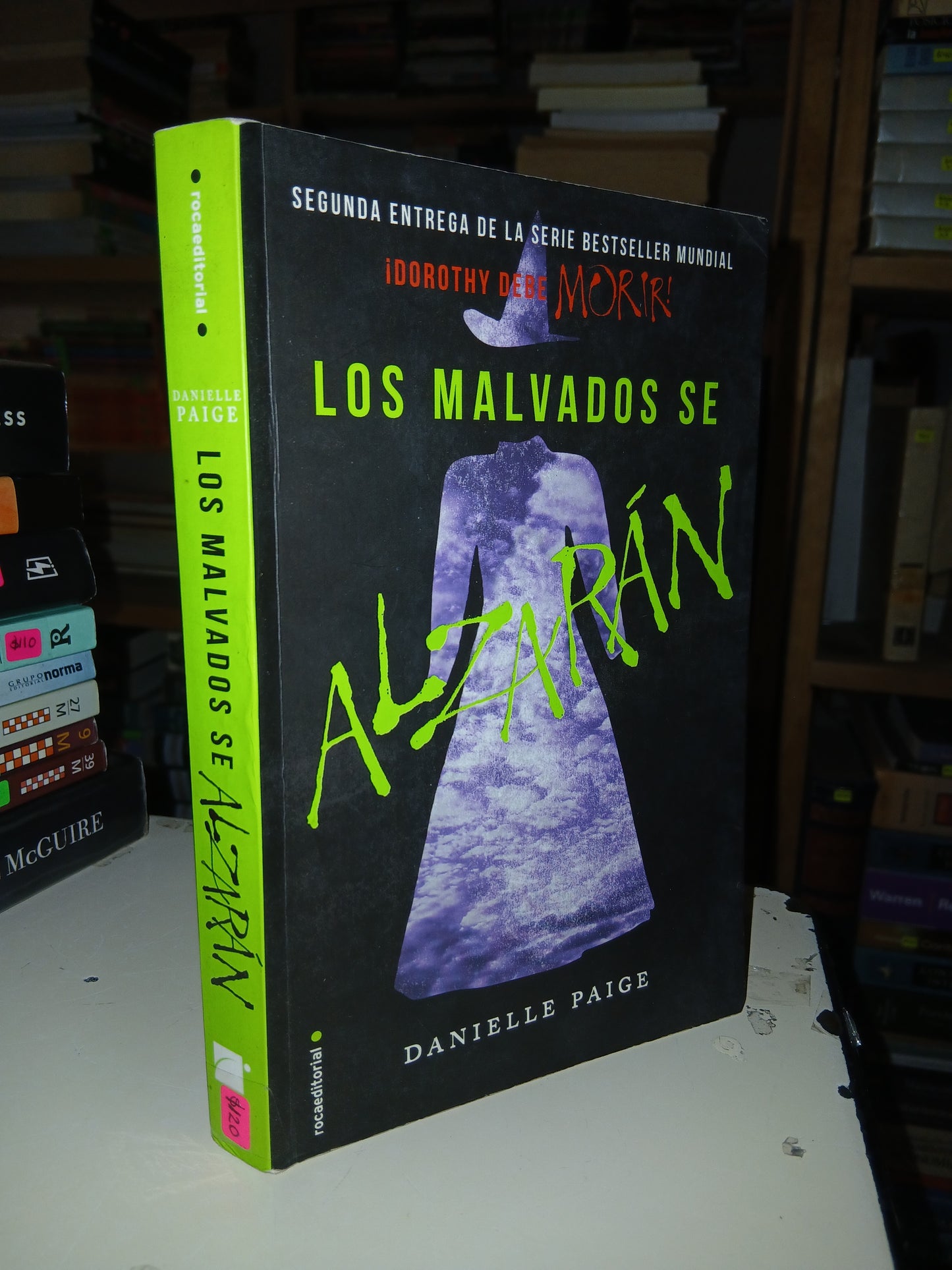 LOS MALVADOS DE ALZARÁN POR DANIELLE PAIGE USADO NOVELA LITERARIO 207