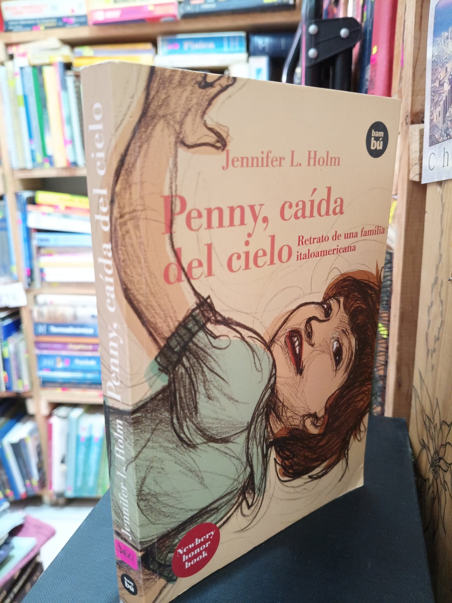 PENNY CAIDA DEL CIELO JENNIFER L. HOLM USADO INFANTIL LITERARIO 305
