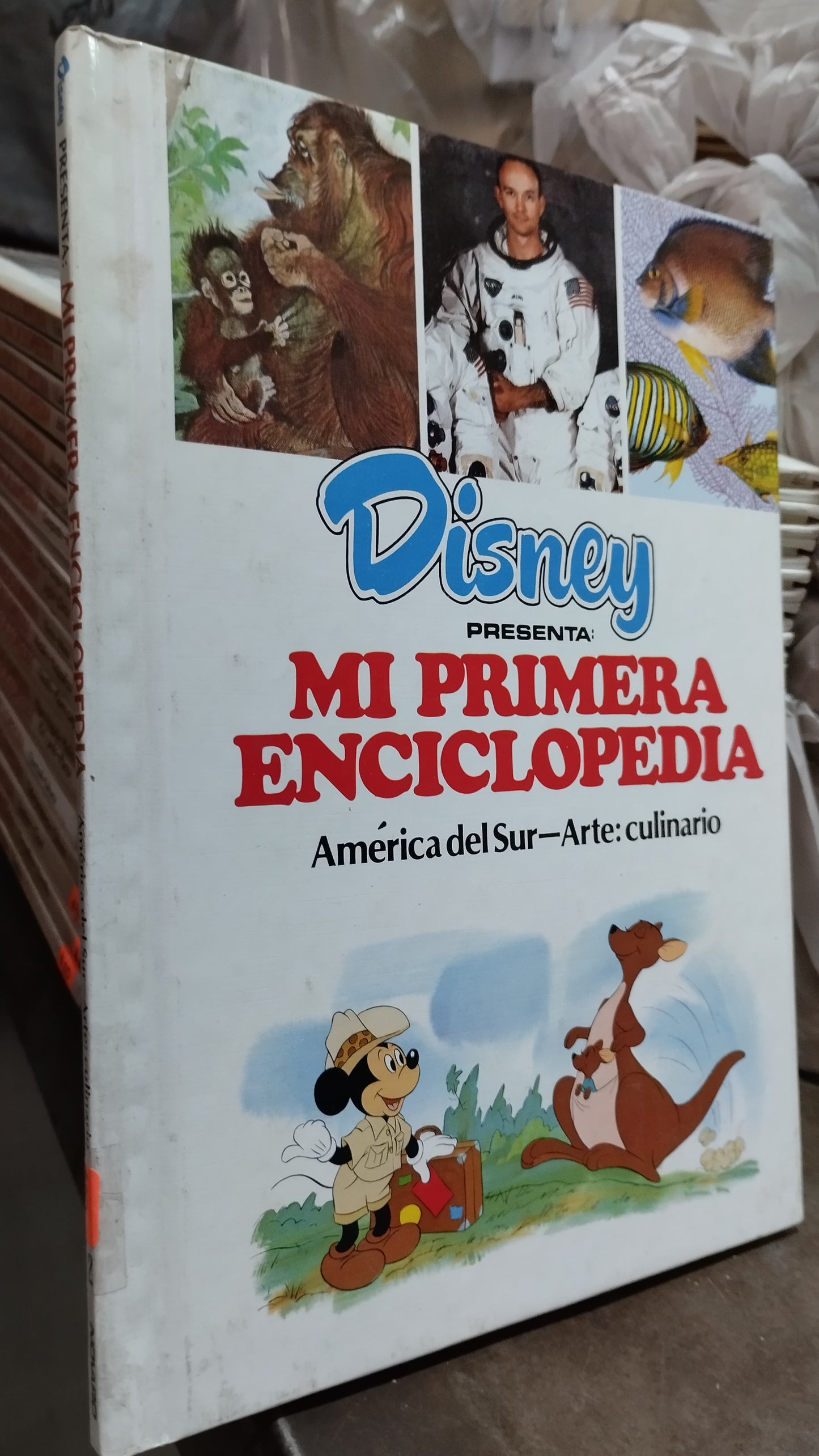 MI PRIMERA ENCICLOPEDIA AMERICA DEL SUR ARTE CULINARIO LIBRO USADO INFANTIL ALDAMA