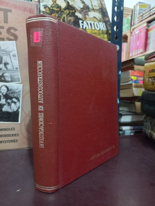 INVESTIGACIONES EN AUTOCONSTRUCCIÓN USADO MATEMÁTICAS LITERARIO 305