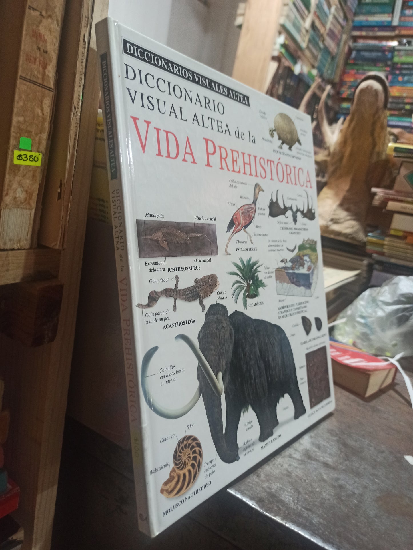 DICCIONARIO VISUAL ALTEA DE LA VIDA PREHISTORICA POR EDITORIAL ALTEA USADO HISTORIA ALDAMA