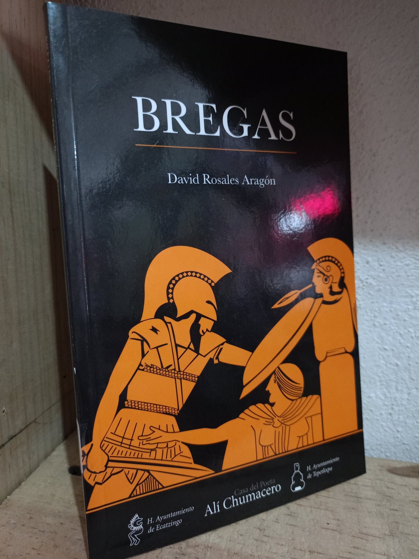 BREGAS POR DAVID ROSALES ARAGON USADO POESIA LITERARIO 305
