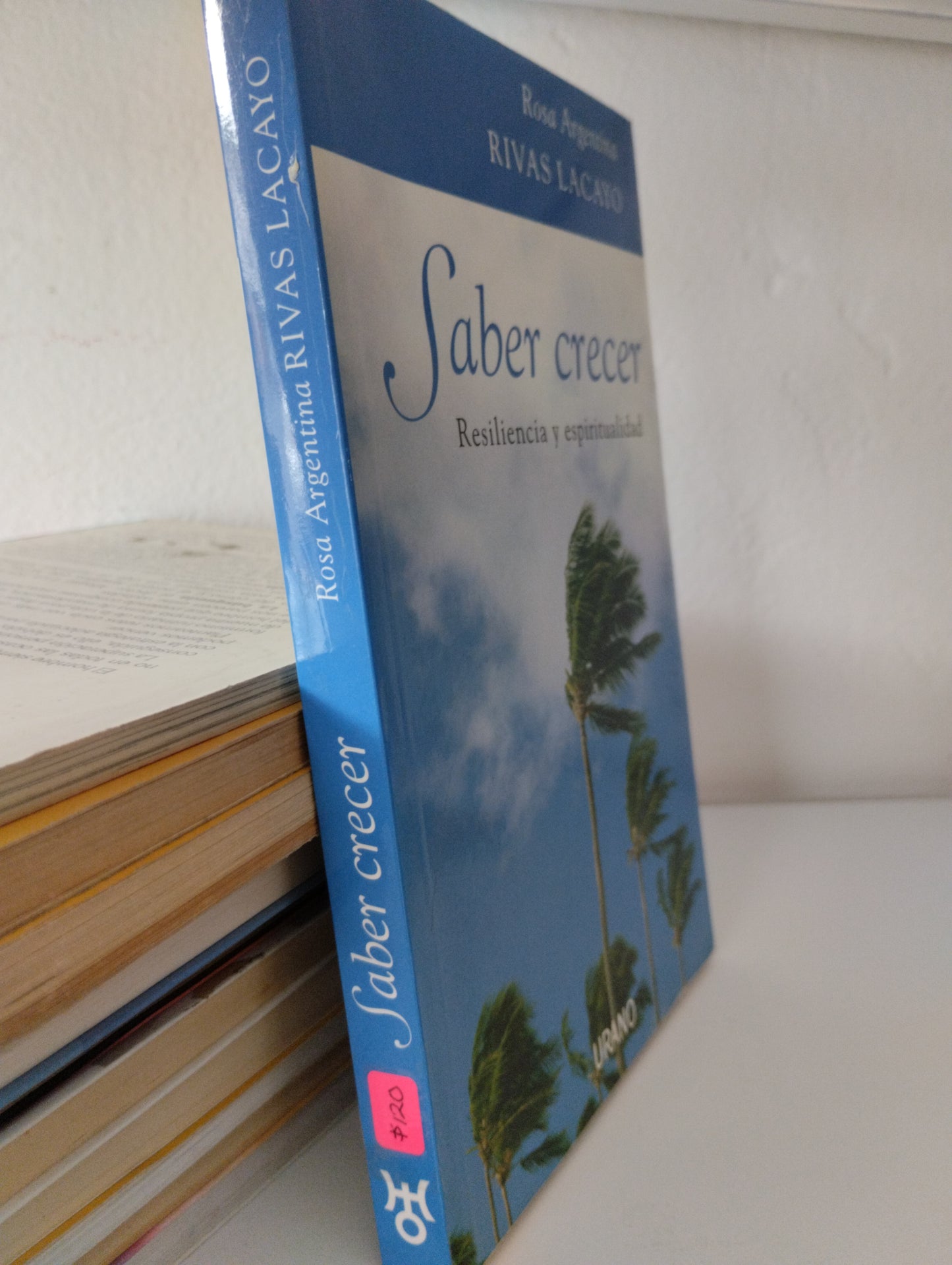 SABER CRECER RESILIENCIA Y ESPIRITUALIDAD ROSA ARGENTINA RIVAS LACAYO USADO SUPERACION PERSONAL JUAREZ 515