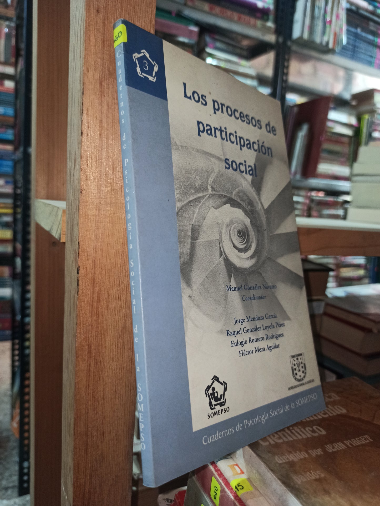 LOS PROCESOS DE PARTICIPACION SOCIAL POR MANUEL GONZALES NAVARRO USADO SOCIOLOGIA ALDAMA