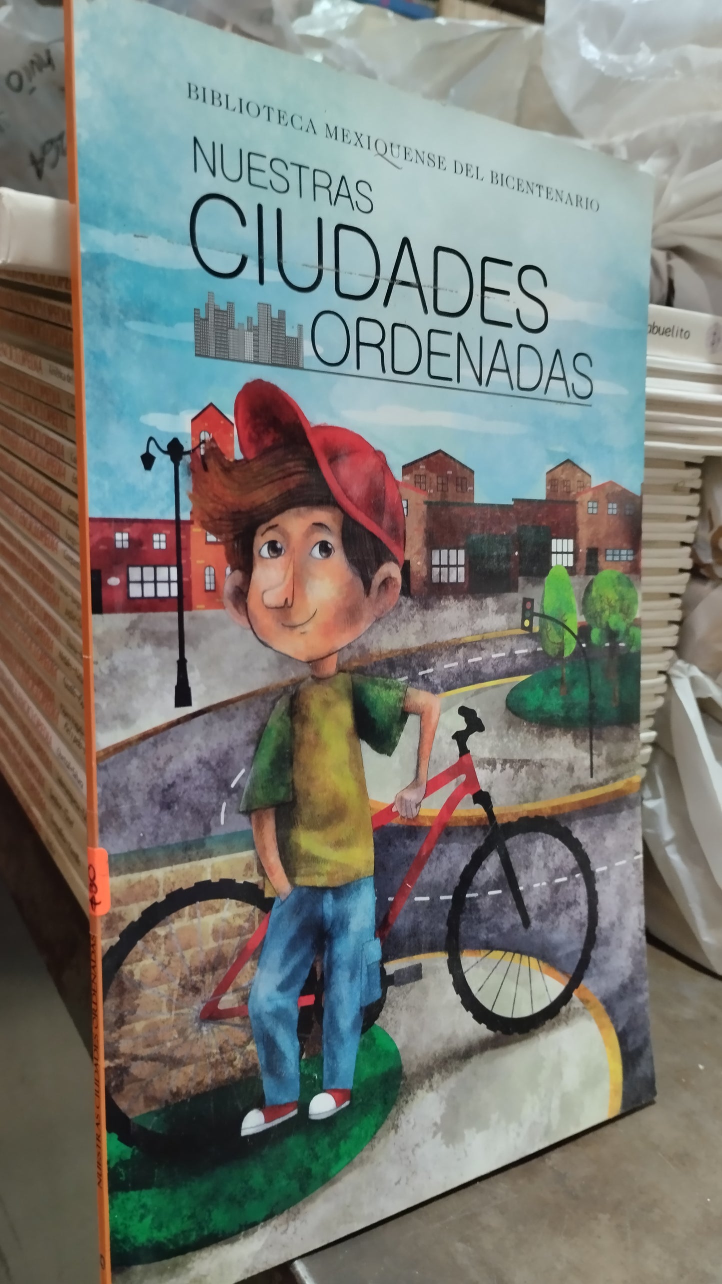NUESTRAS CIUDADES ORDENADAS POR BIBLIOTECA MEXIQUENSE DEL BICENTENARIO LIBRO USADO INFANTIL ALDAMA