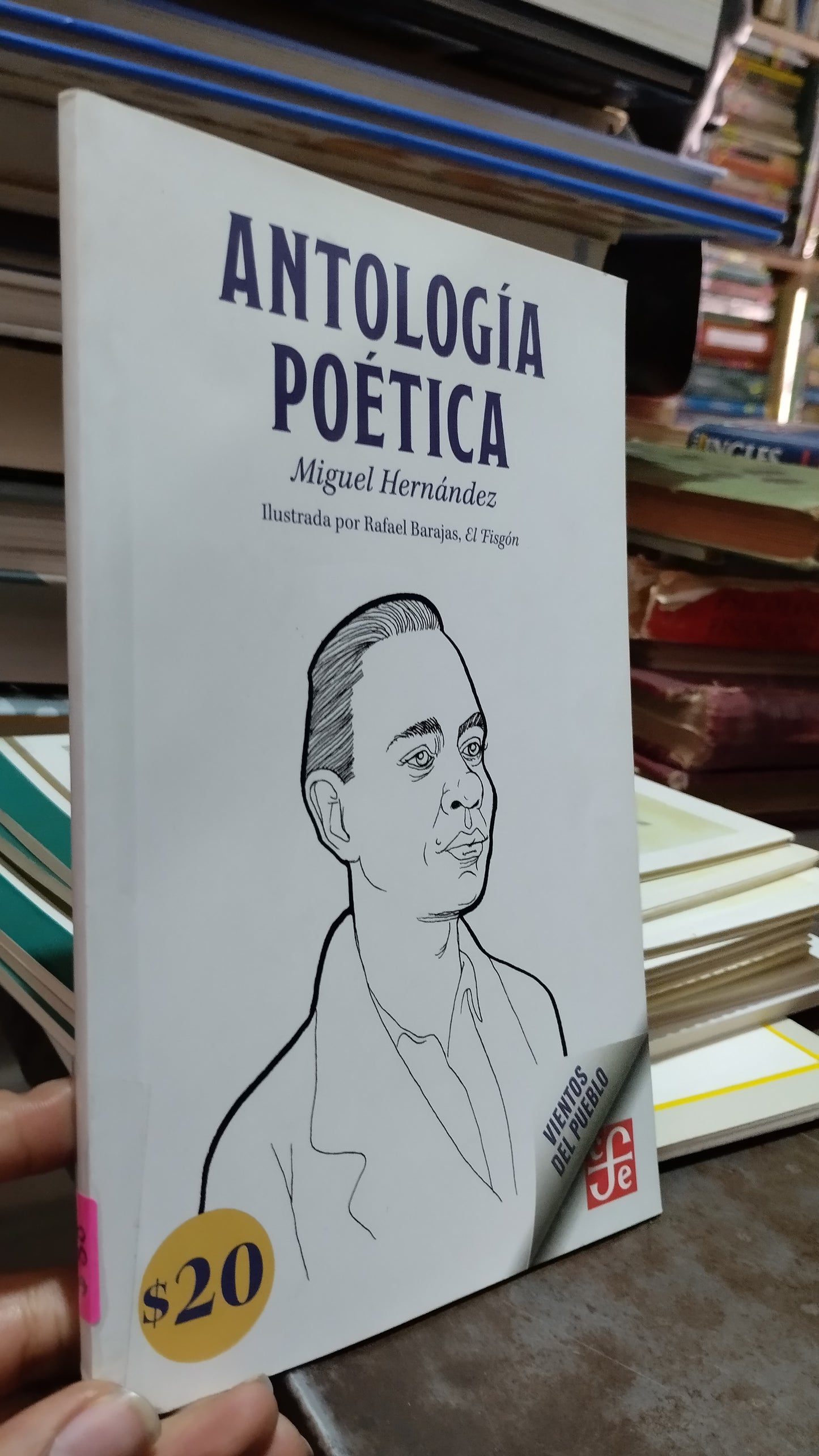 ANTOLOGIA POETICA POR MIGUEL HERNANDEZ LIBRO USADO POESIA ALDAMA