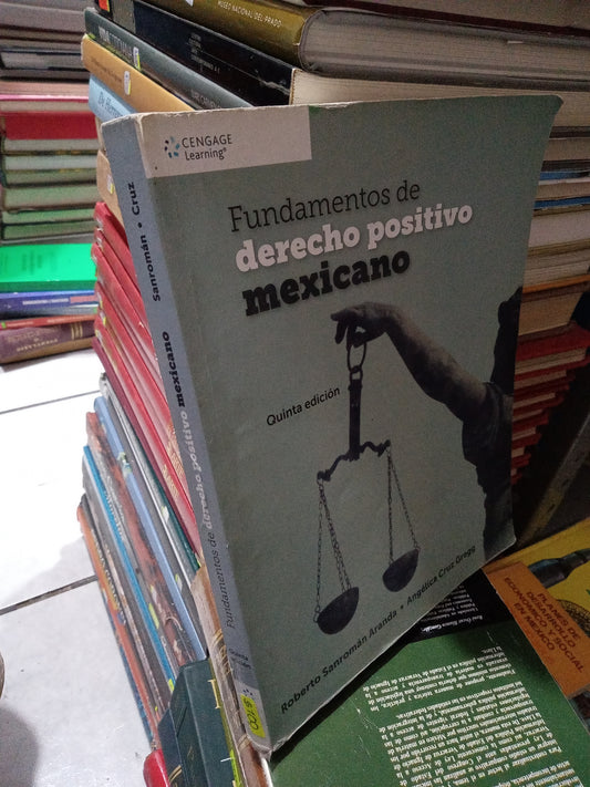 FUNDAMENTOS DE DERECHO POSITIVO MEXICANO POR ROBERTO SANROMAN ARANDA USADO DERECHO JUÁREZ