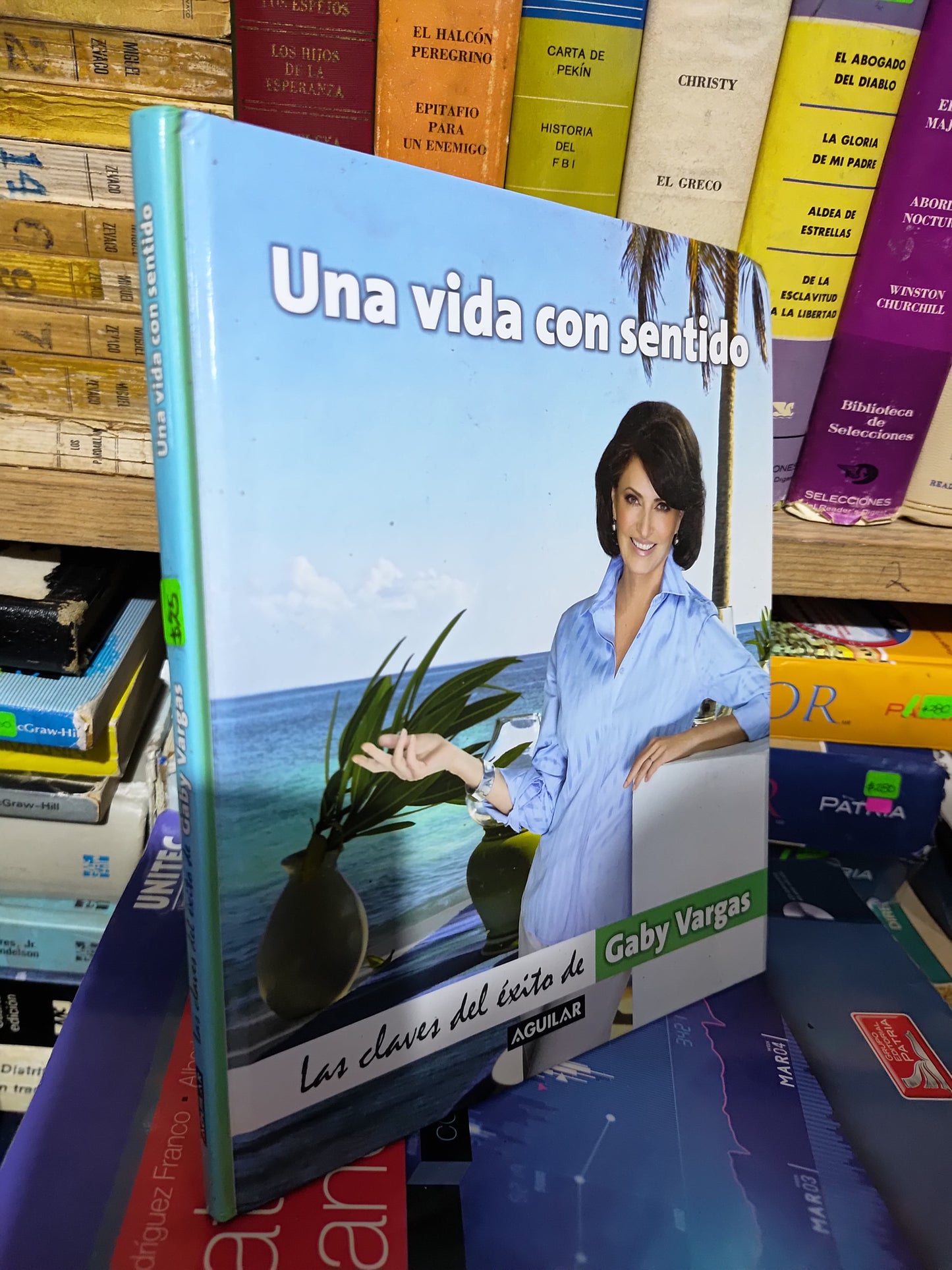 UNA VIDA CON SENTIDO POR GABY VARGAS USADO SUP PERSONAL JUAREZ 507