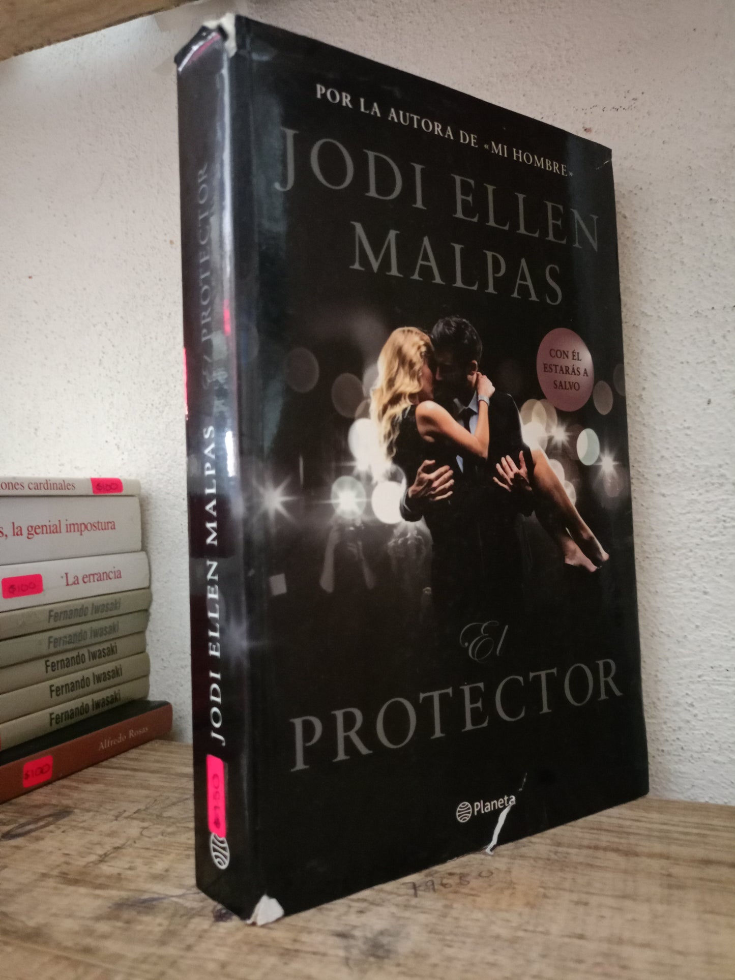EL PROTECTOR JODI ELLEN MALPAS USADO NOVELA LITERARIO 305