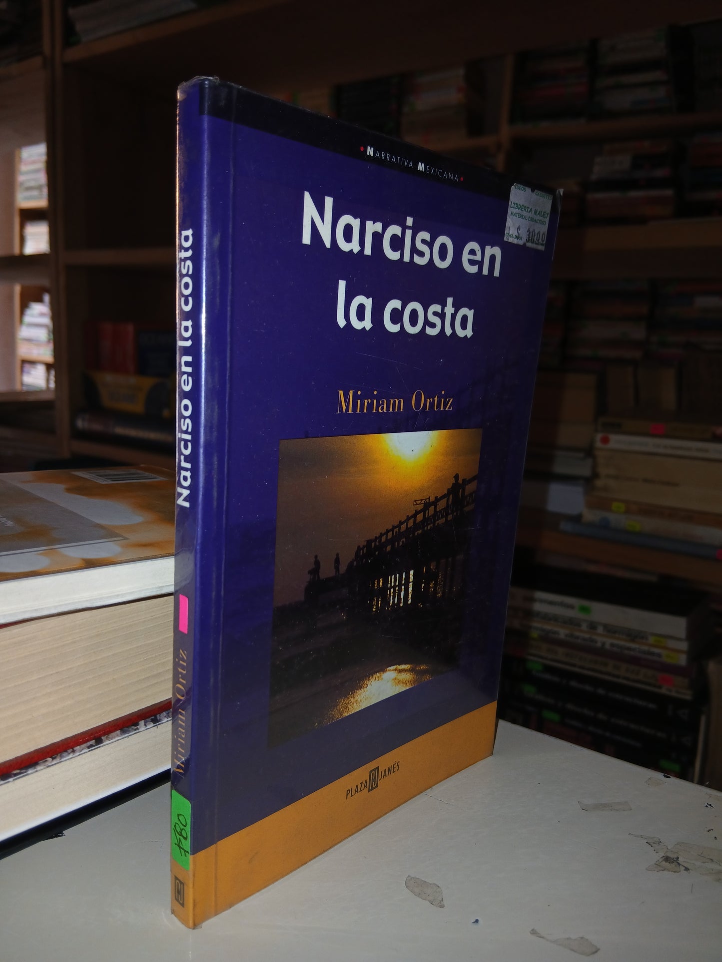 NARCISO EN LA COSTA POR MIRIAM ORTÍZ USADO NOVELA LITERARIO 207