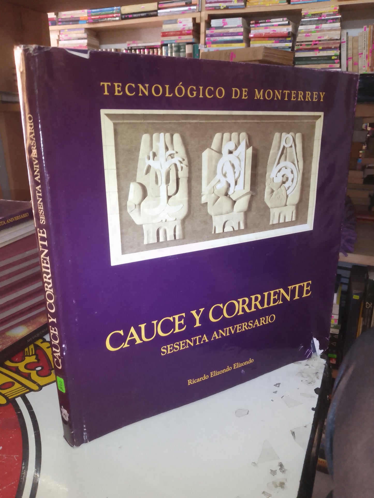 CAUCE Y CORRIENTE. SESENTA ANIVERSARIO (TECNOLÓGICO DE MONTERREY) POR RICARDO ELIZONDO ELIZONDO USADO ARTE LITERARIO 207
