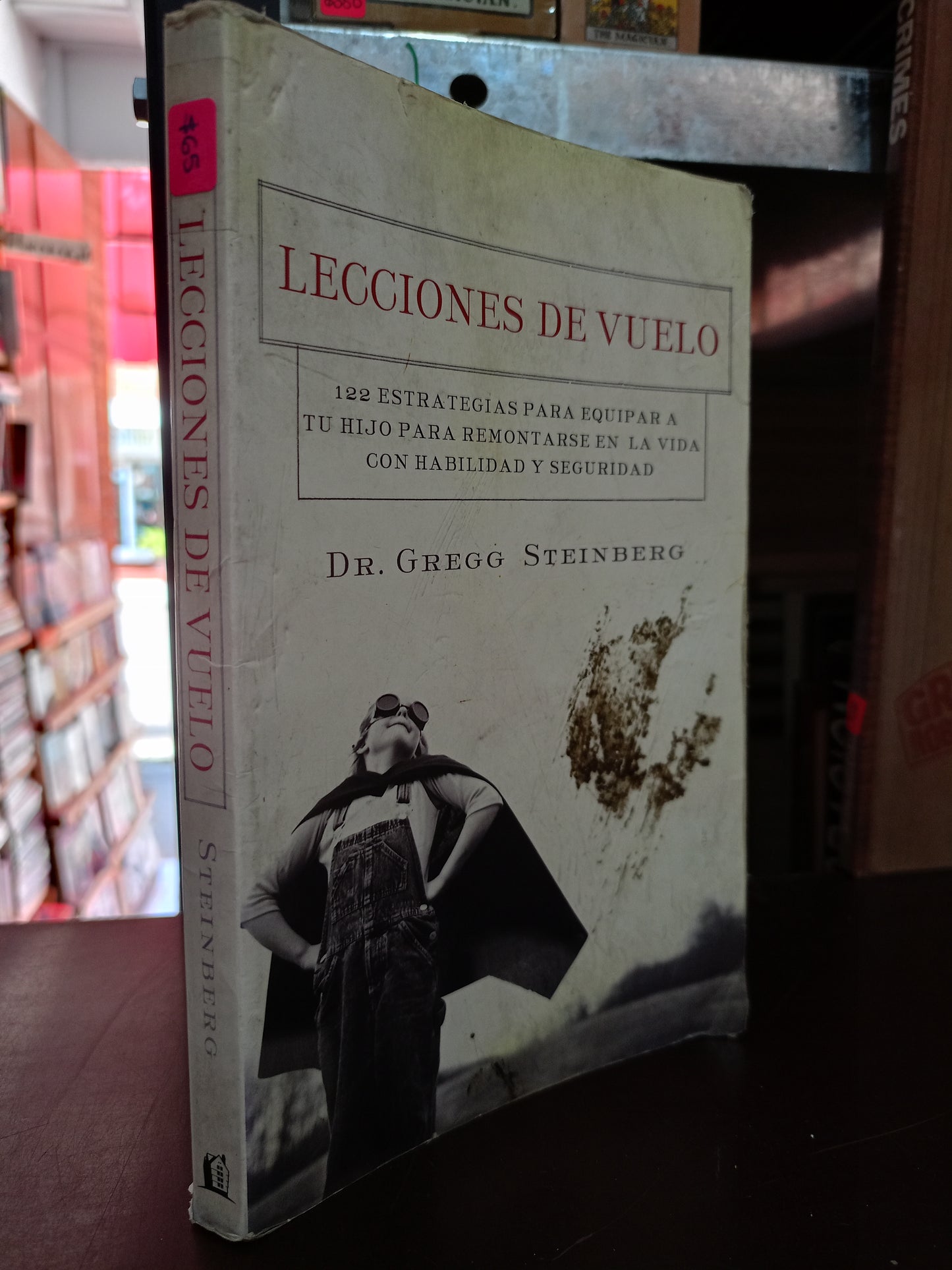 LECCIONES DE VUELO POR GREGG STEINBERG USADO PSICOLOGÍA LITERARIO 305