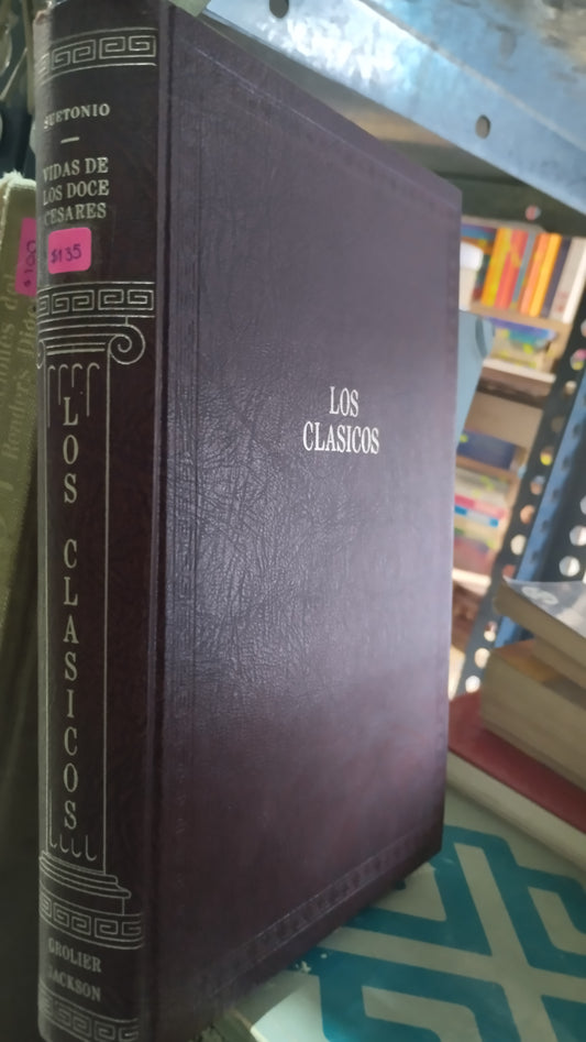 VIDAS DE LOS DOCE CEDARES POR SUETONIO LIBRO USADO NOVELAS ALDAMA