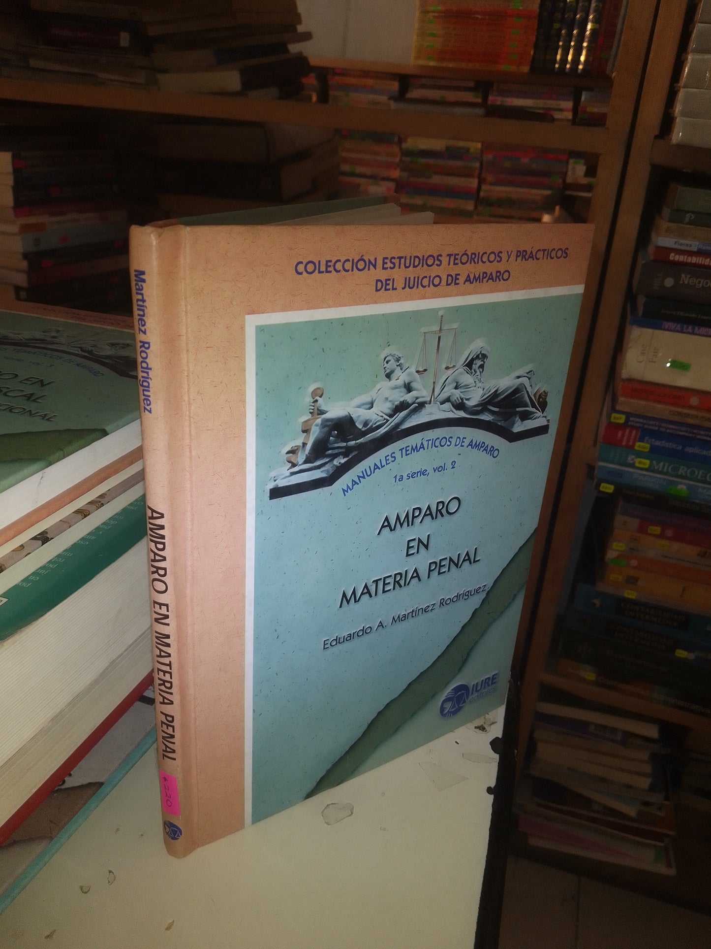 AMPARO EN MATERIA PENAL POR EDUARDO A. MARTÍNEZ RODRÍGUEZ USADO DERECHO LITERARIO 207