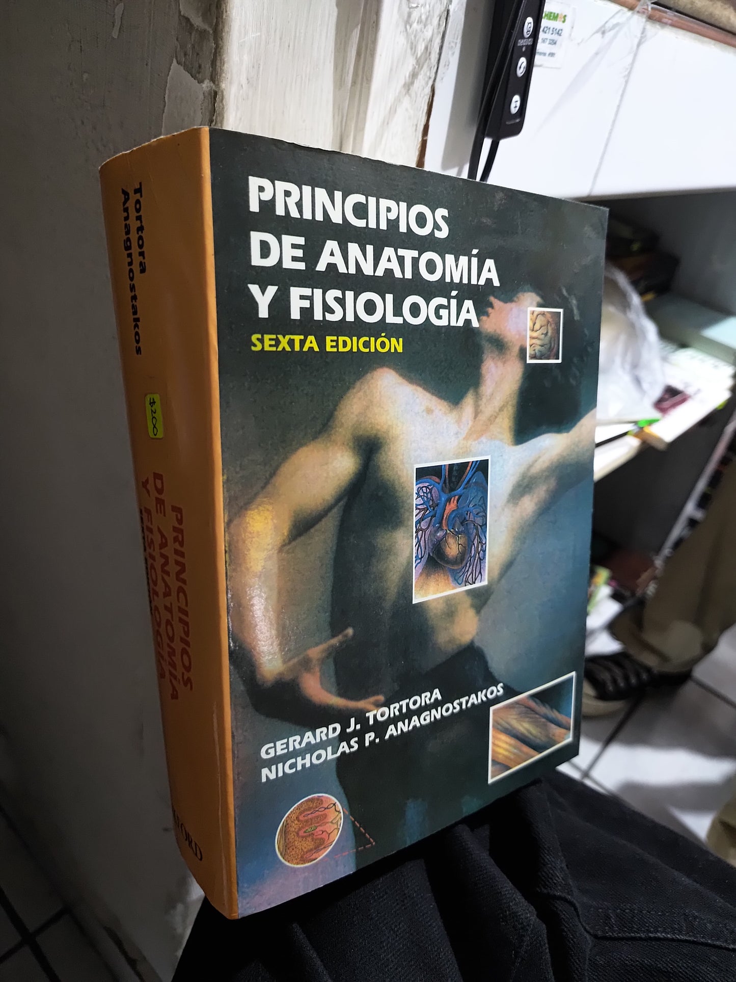PRINCIPIOS DE ANATOMIA Y FISOLOGIA SEXTA EDICION POR GERARD J. TORTORA USADO SALUD JUAREZ 515