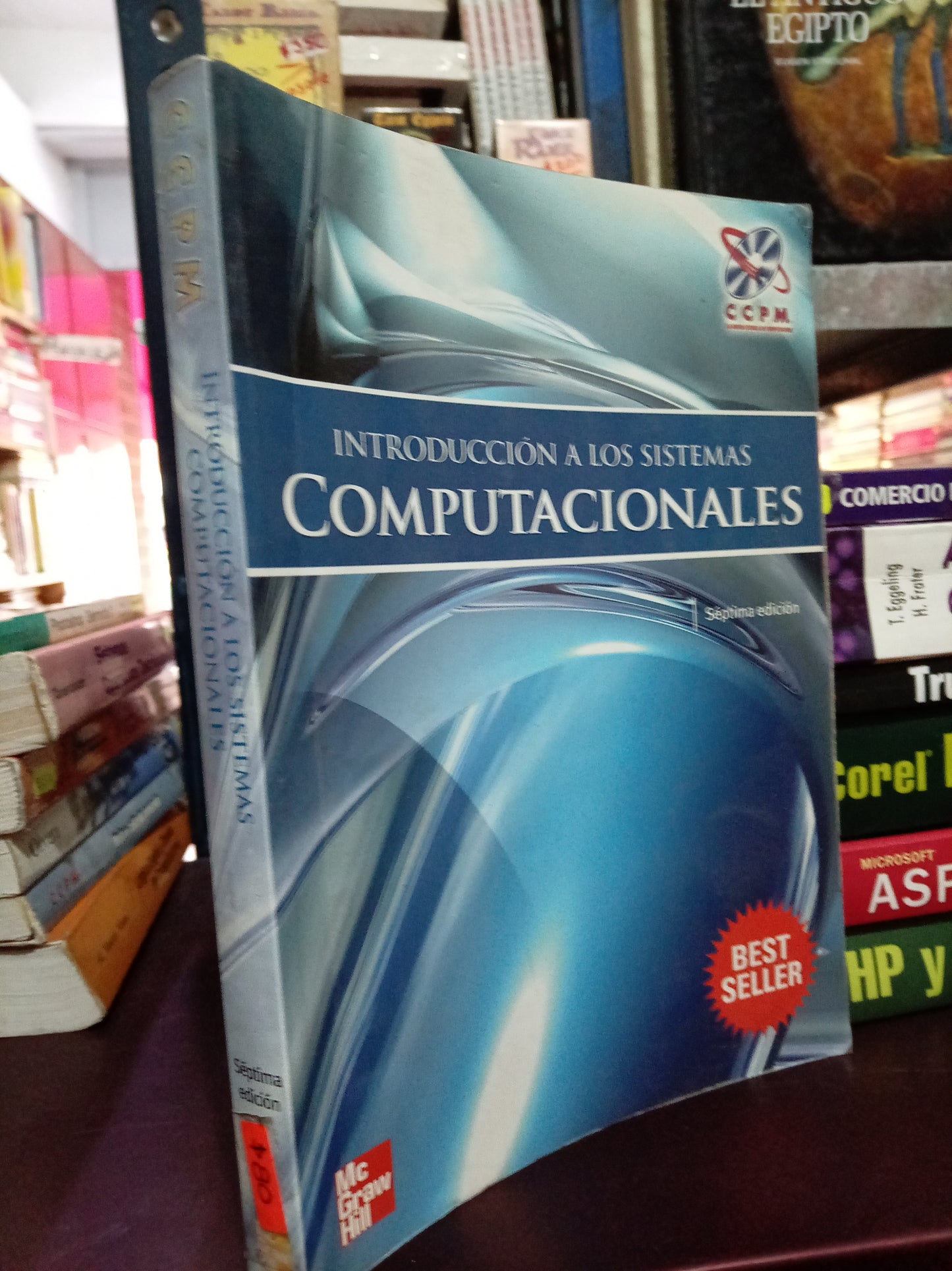INTRODUCCION A LOS SISTEMAS COMPUTACIONALES USADO COMPUTO LITERARIO 305