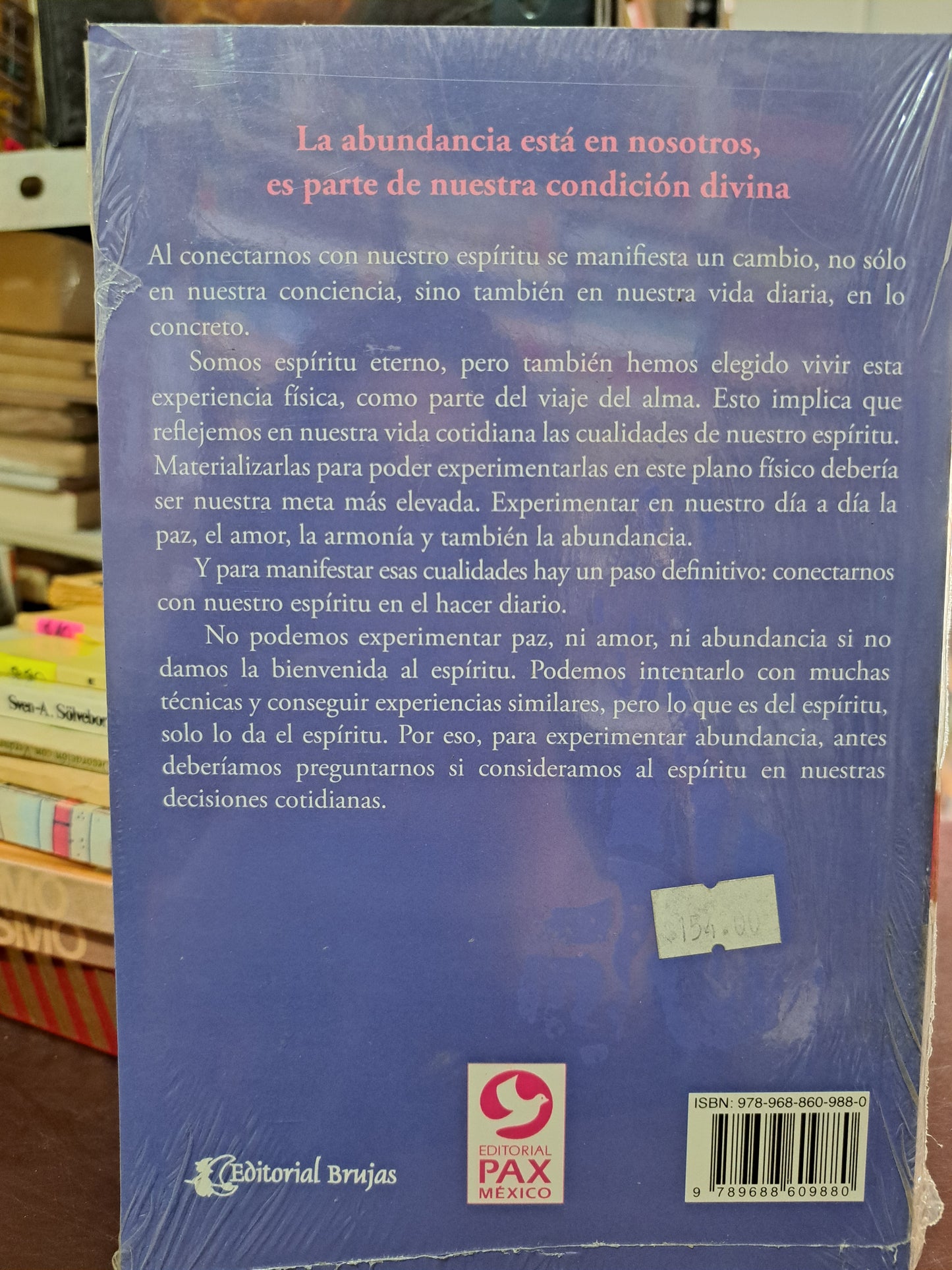 ABUNDANCIA JULIO BEVIONE NUEVO LIBROS NUEVOS LITERARIO 305