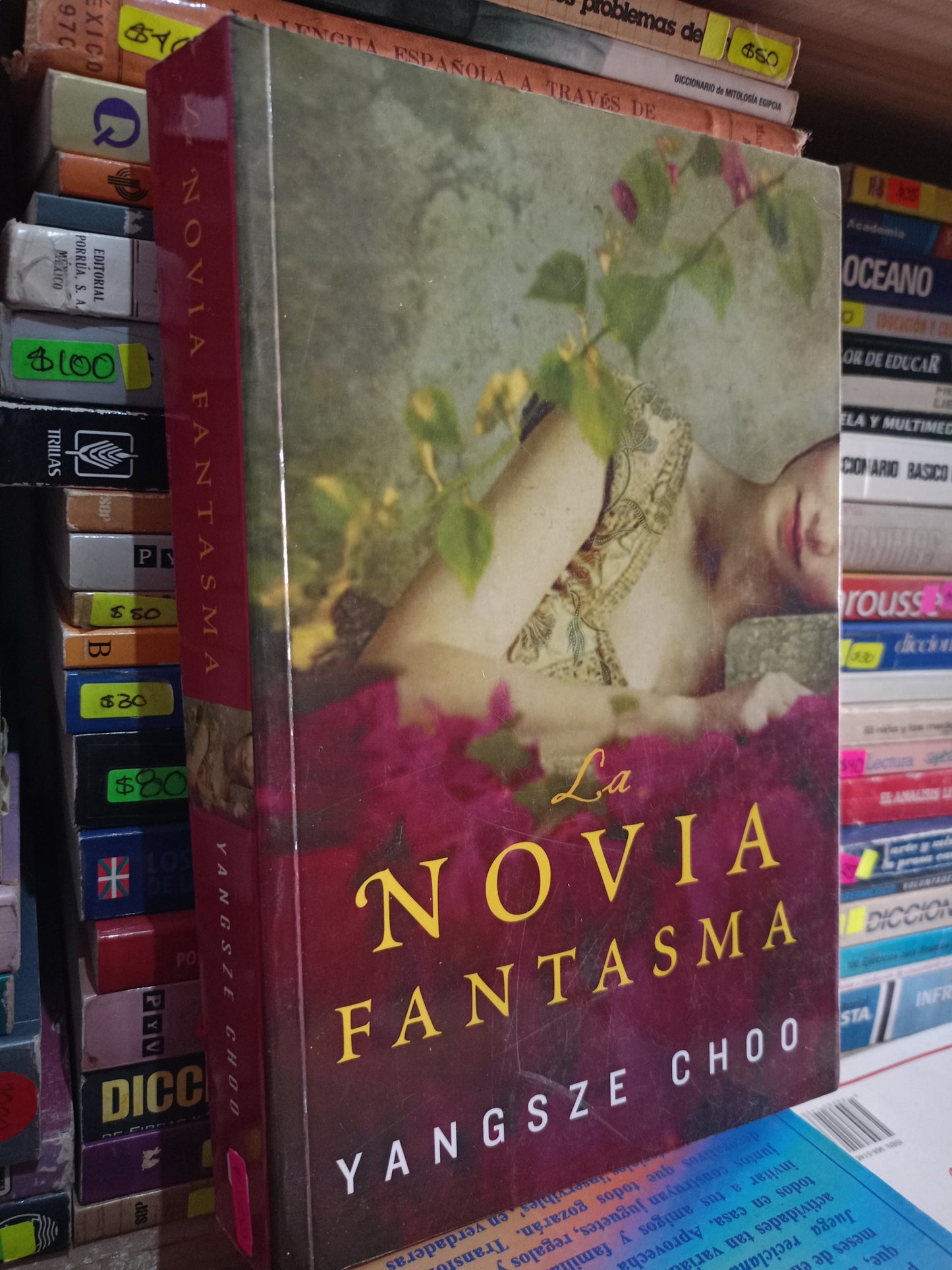 LA NOVIA FANTASMA POR YANGSZE CHOO USADO NOVELA LITERARIO 305