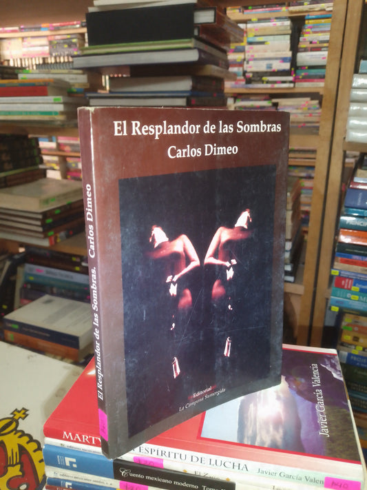 EL RESPLANDOR DE LAS SOMBRAS POR CARLOS DIMEO USADO NOVELA LITERARIO 207