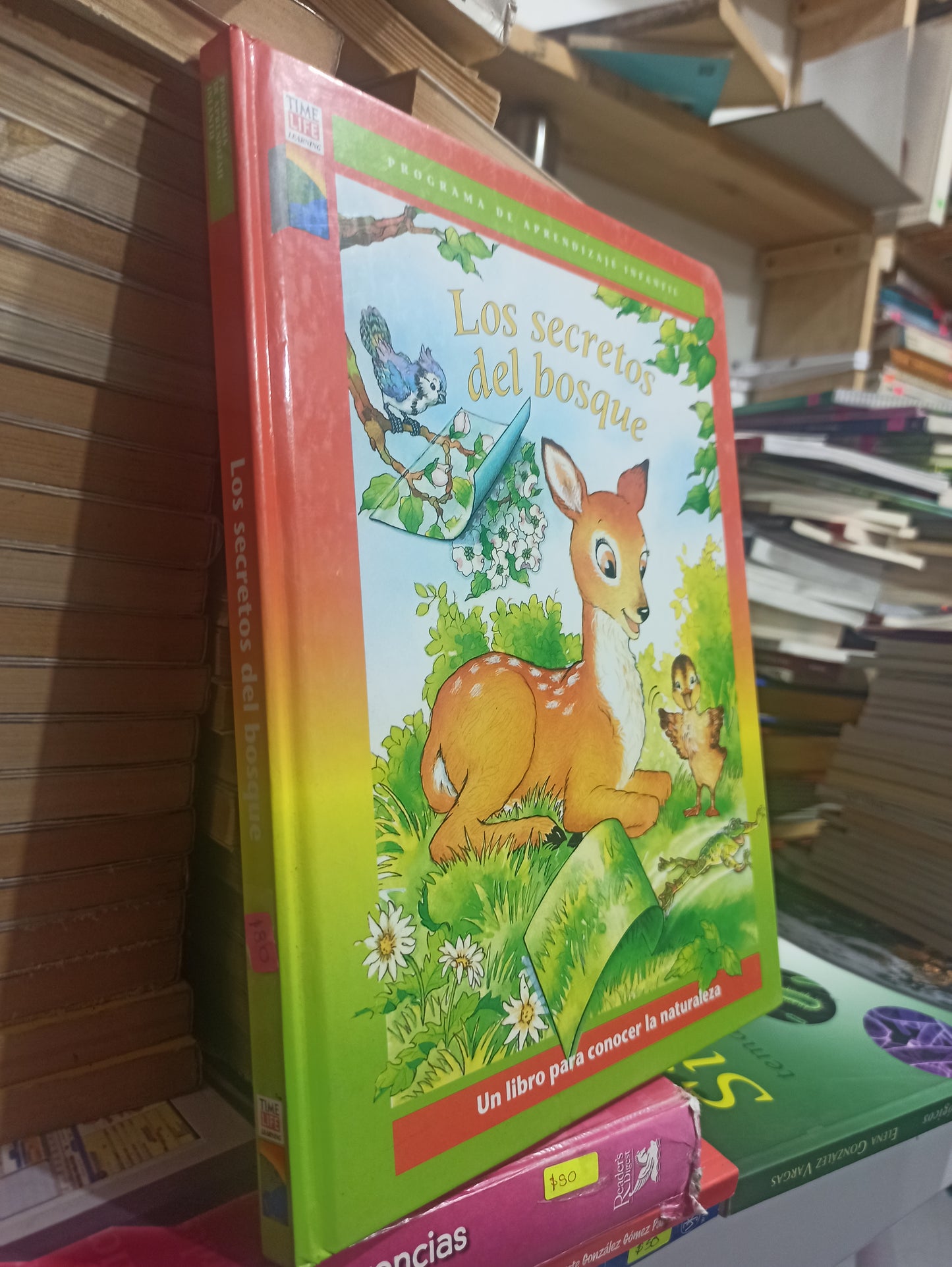 LOS SECRETOS DEL BOSQUE POR EDITORIAL TIME LIFE USADO INFANTILES JUÁREZ