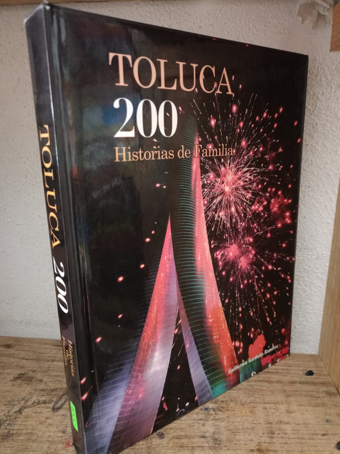 TOLUCA 200 HISTORIAS DE FAMILIA POR GUILLERMO GARDUÑO RAMIREZ USADO HISTORIA LITERARIO 305