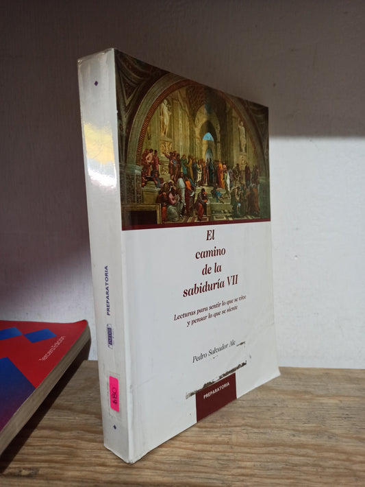 EL CAMINO DE LA SABIDURIA 7 POR PEDRO SALVADOR ALE USADO FILOSOFÍA JUÁREZ