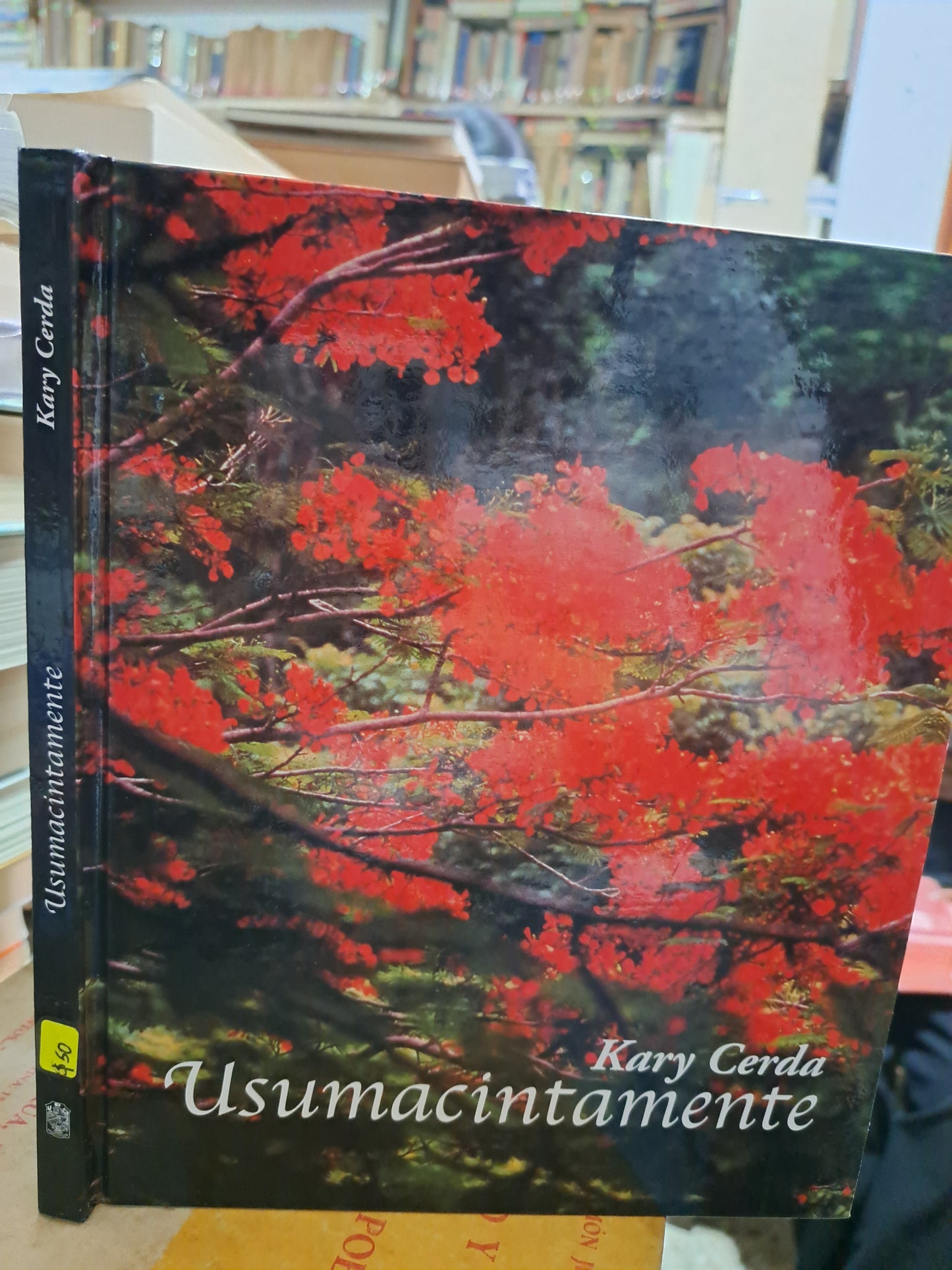 USUMACINTAMENTE KARY CERDA USADO POESÍA ALDAMA