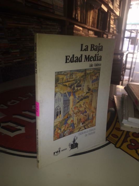 LA BAJA EDAD MEDIA POR JULIO VALDEÓN USADO HISTORIA LITERARIO 207