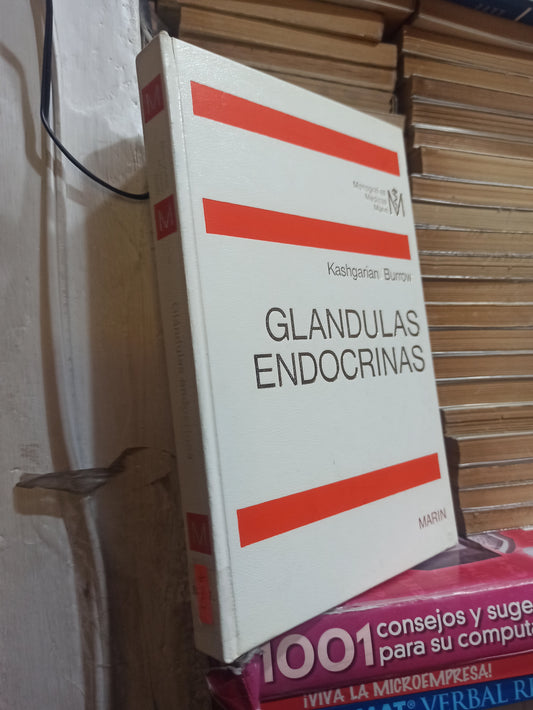 GLANDULAS ENDOCRINAS POR KASHGARIAN Y BURROW USADO SALUD JUÁREZ