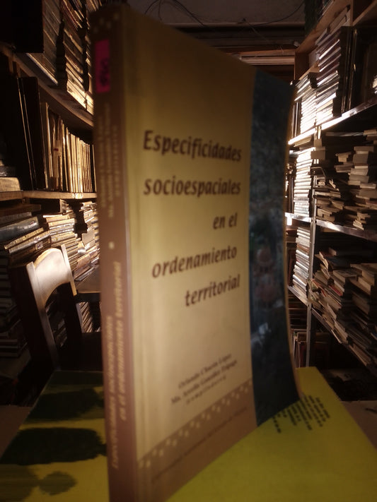 ESPECIFICIDADES SOCIOESPACIALES EN EL ORDENAMIENTO TERRITORIAL USADO SOCIOLOGÍA LITERARIO 207