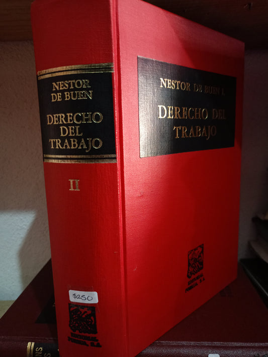 DERECHO DEL TRABAJO II POR NESTOR DE BUEN L USADO DERECHO LITERARIO 305