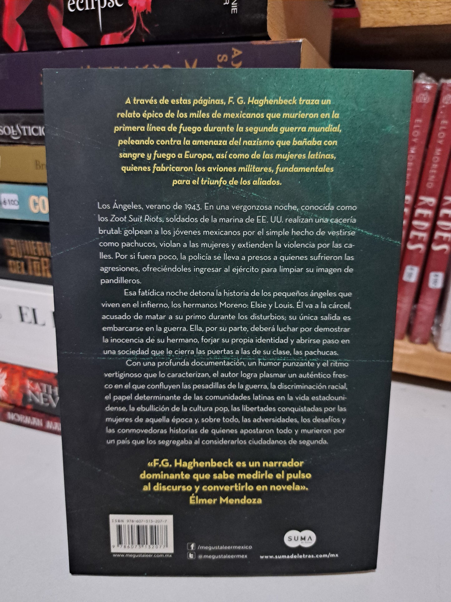 QUERUBINES EN EL INFIERNO F.G HAGHENBECK USADO NOVELA JUÁREZ