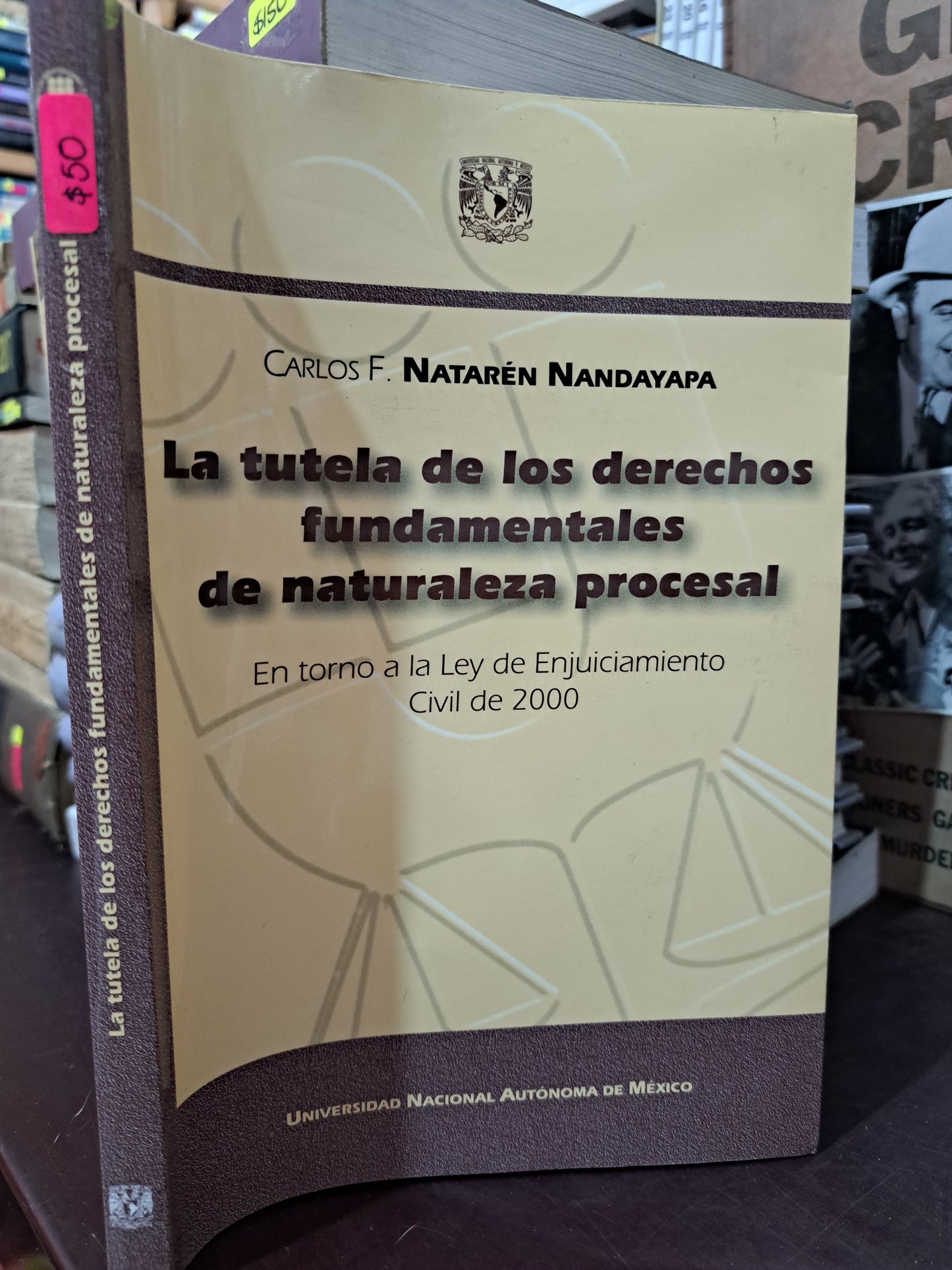 LA TUTELA DE LOS DERECHOS FUNDAMENTALES DE NATURALEZA PROCESAL CARLOS F. NATARÉN NANDAYAPA USADO DERECHO LITERARIO 305
