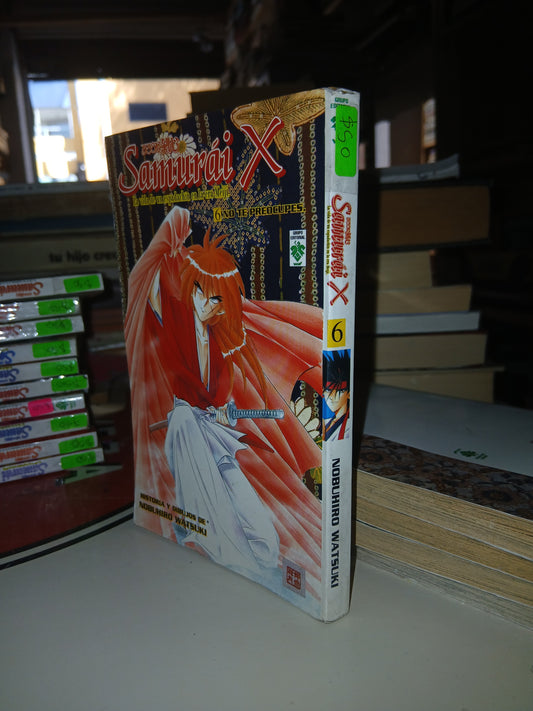 SAMURÁI X 6: NO TE PREOCUPES POR NOBUHIRO WATSUKI USADO MANGA LITERARIO 207