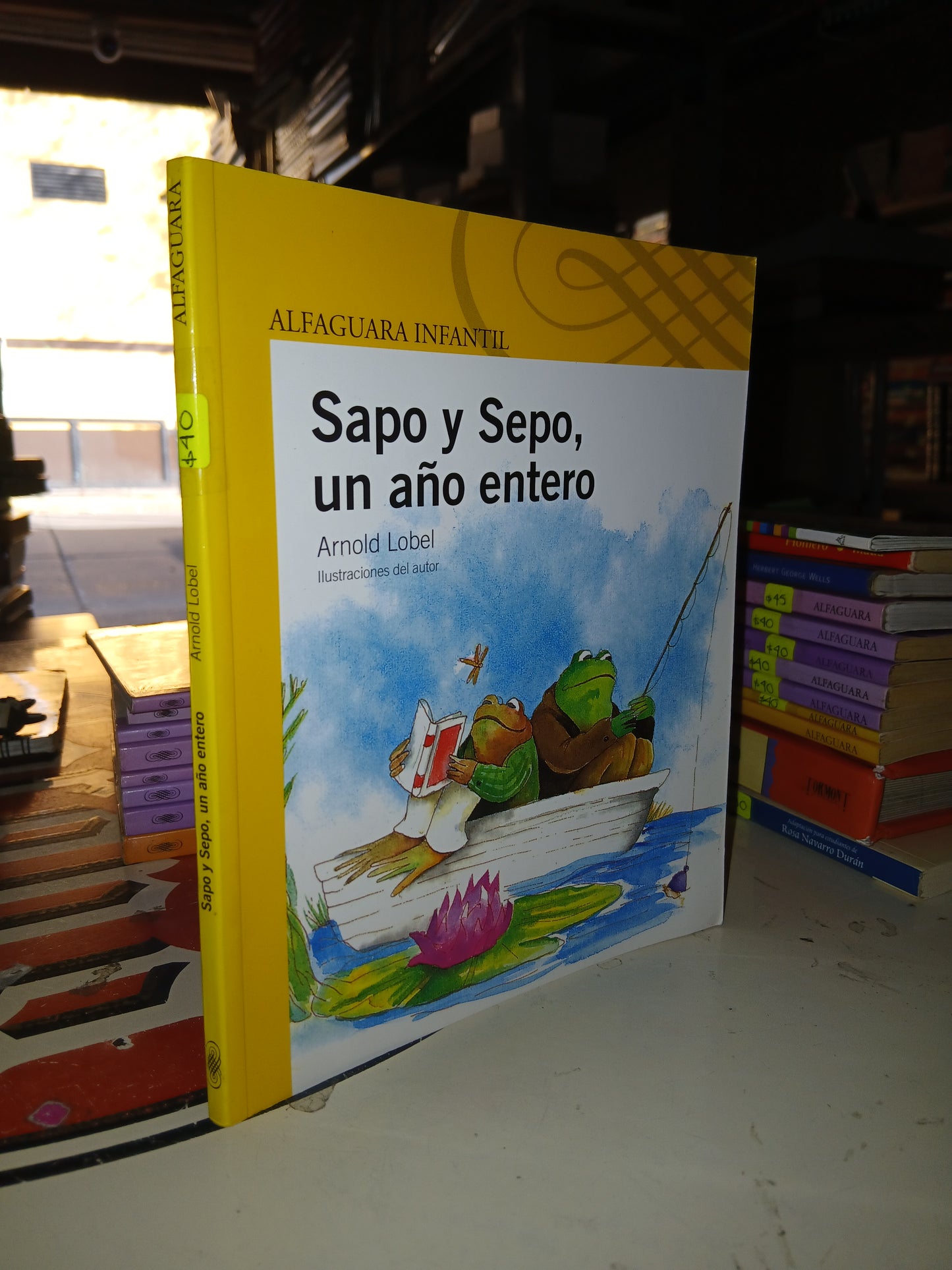 SAPO Y SEPO, UN AÑO ENTERO POR ARNOLD LOBEL USADO INFANTIL LITERARIO 207
