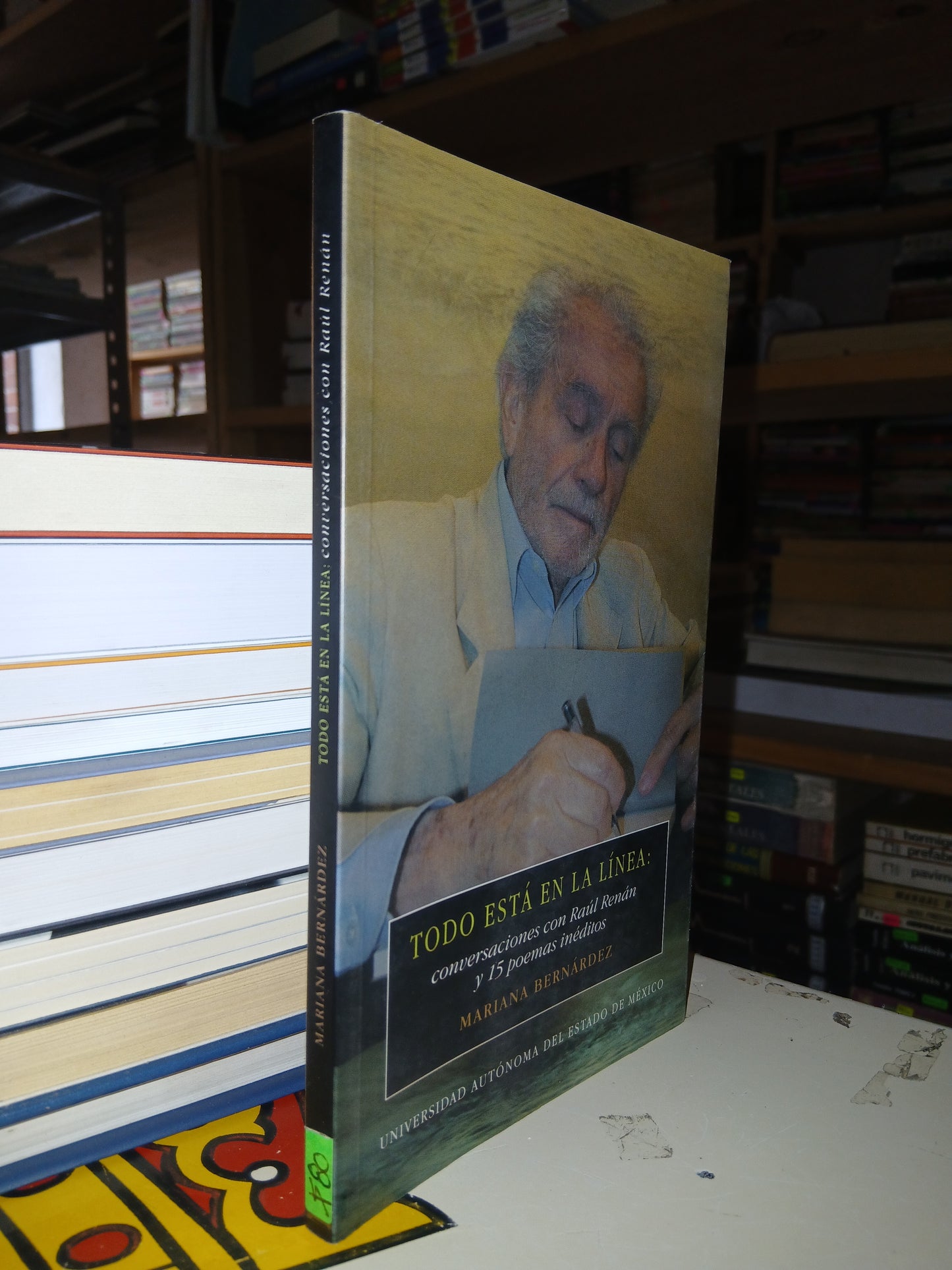 TODO ESTÁ EN LA LÍNEA: CONVERSACIONES CON RAÚL RENÁN Y 15 POEMAS INÉDITOS POR MARIANA BERNÁRDEZ USADO NOVELA LITERARIO 207