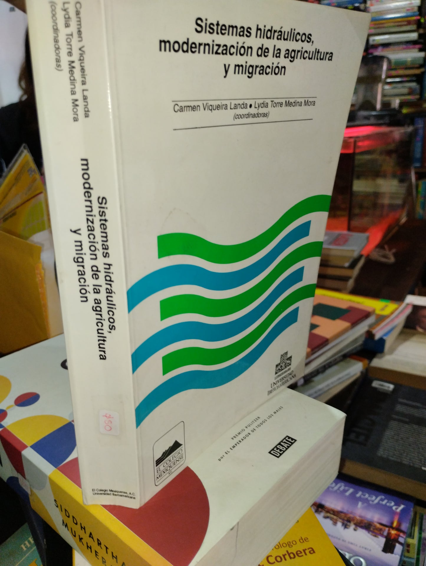 SISTEMAS HIDRAULICOS, MODERNIZACION DE LA AGRICULTURA Y MIGRACION POR CARMEN VIQUEIRA LANDA USADO SOCIOLOGIA ALDAMA