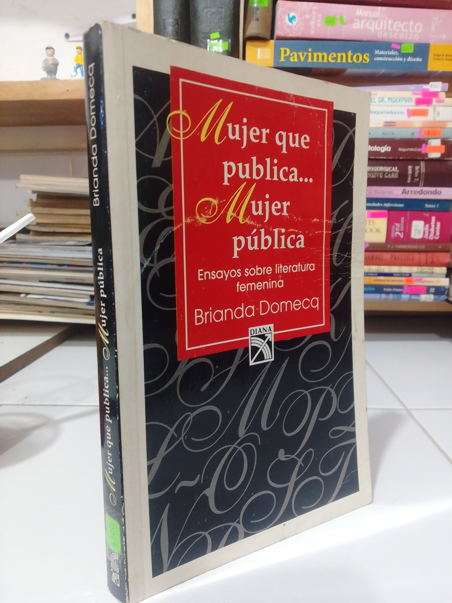MUJER QUE PUBLICA , MUJER PUBLICA POR BRIANDA DOMECQ USADO SOCIOLOGIA JUAREZ