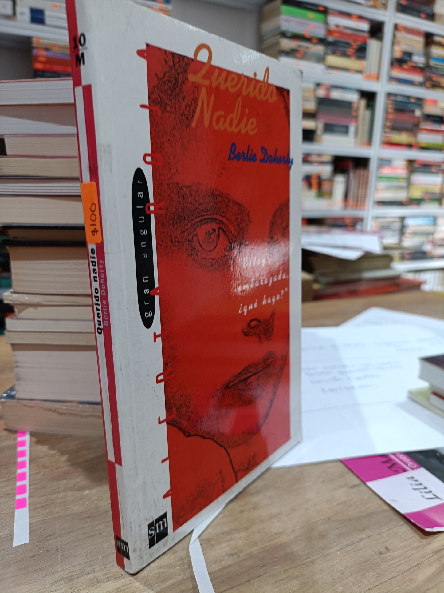 QUERIDO NADIE POR BERLIE DOHERTY USADOS NOVELAS JUAREZ 515