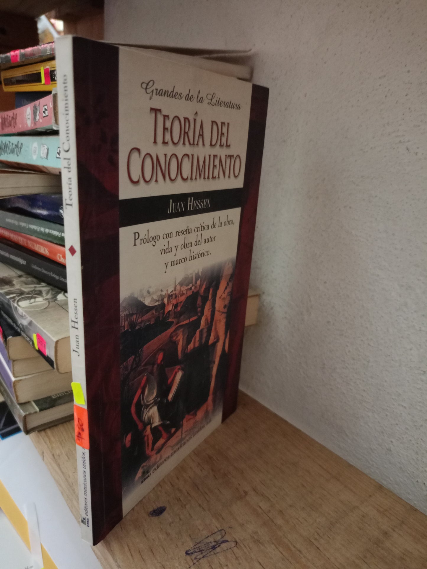 TEORIA DEL CONOCIMIENTO POT JUAN HESSEN USADO FILOSOFIA LITERARIO 305