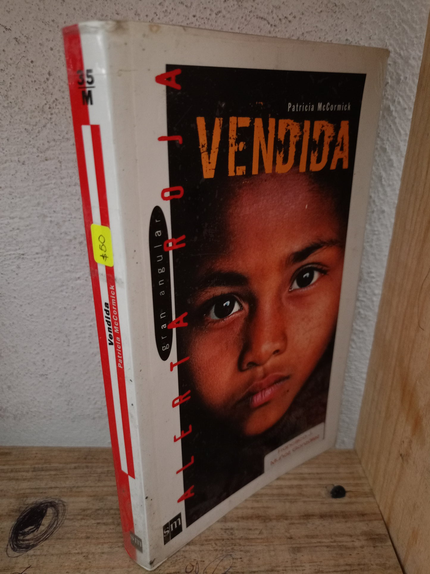 VENDIDA POR PATRICIA MCCORMICK USADO NOVELA LITERARIO 305