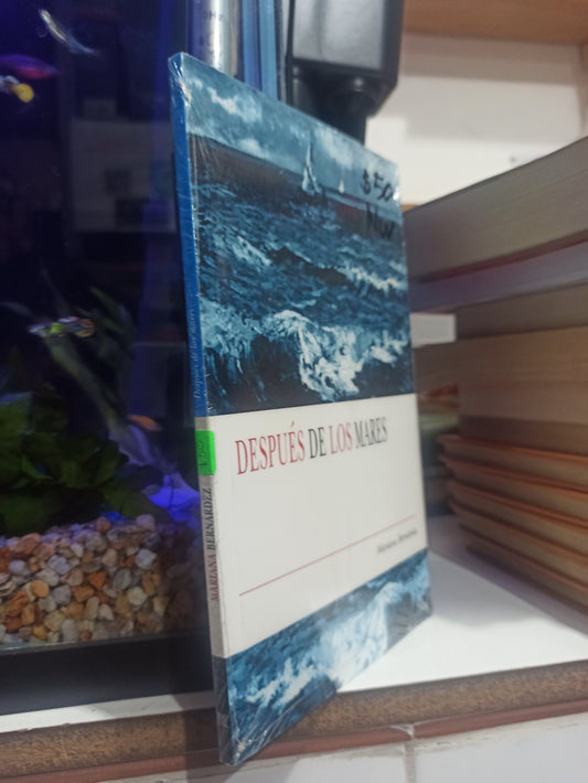 DESPUES DE LOS MARES POR MARIANA BERNANDEZ USADO NOVELAS JUÁREZ