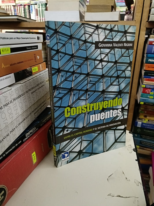 CONSTRUYENDO PUENTES ENTRE EL CAPITAL HUMANO Y EL SISTEMA DE INNOVACIÓN POR GIOVANNA VALENTI NIGRINI USADO SOCIOLOGÍA LITERARIO 207
