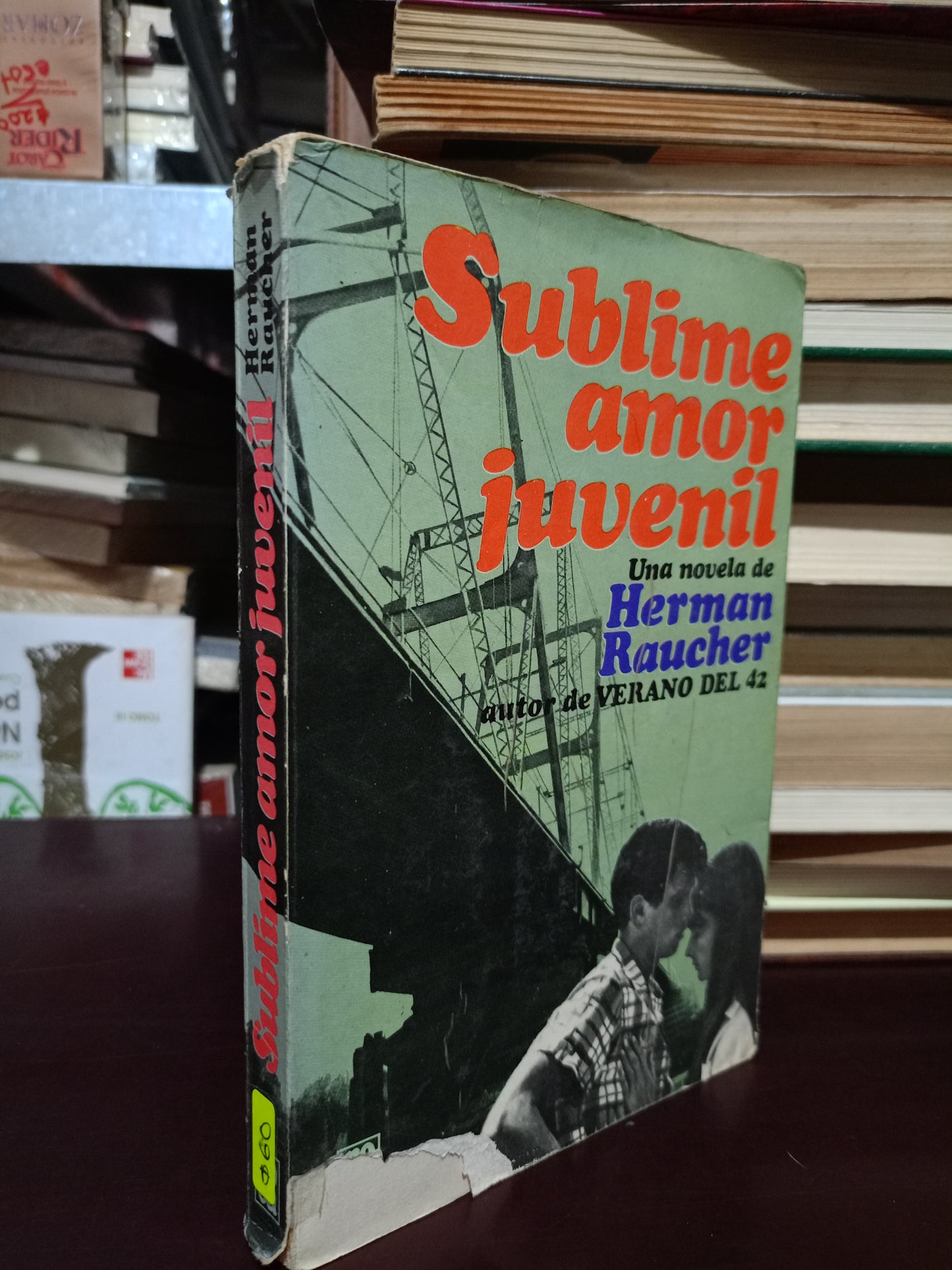 SUBLIME AMOR JUVENIL POR HERMAN RAUCHER USADO NOVELA LITERARIO 305