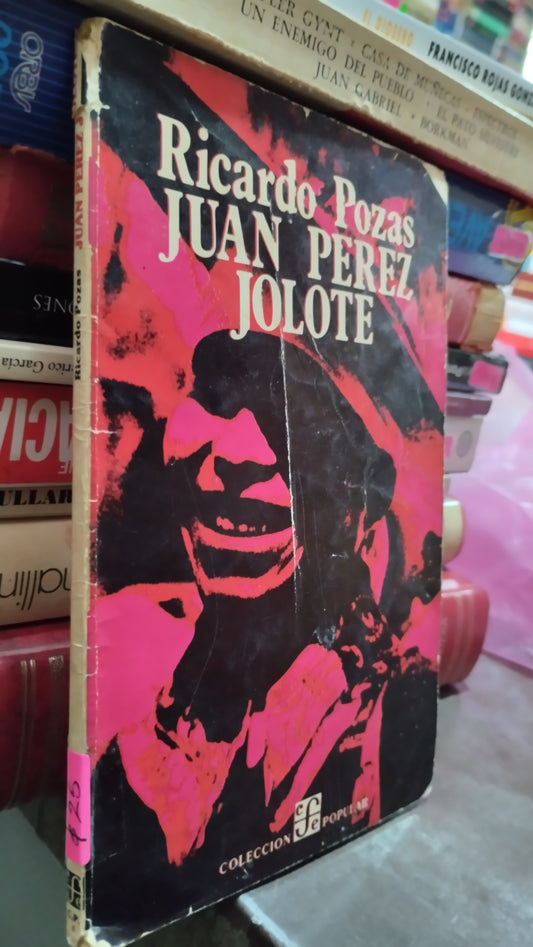 JUAN PEREZ JOLOTE POR RICARDO POZAS LIBRO USADO NOVELAS ALDAMA