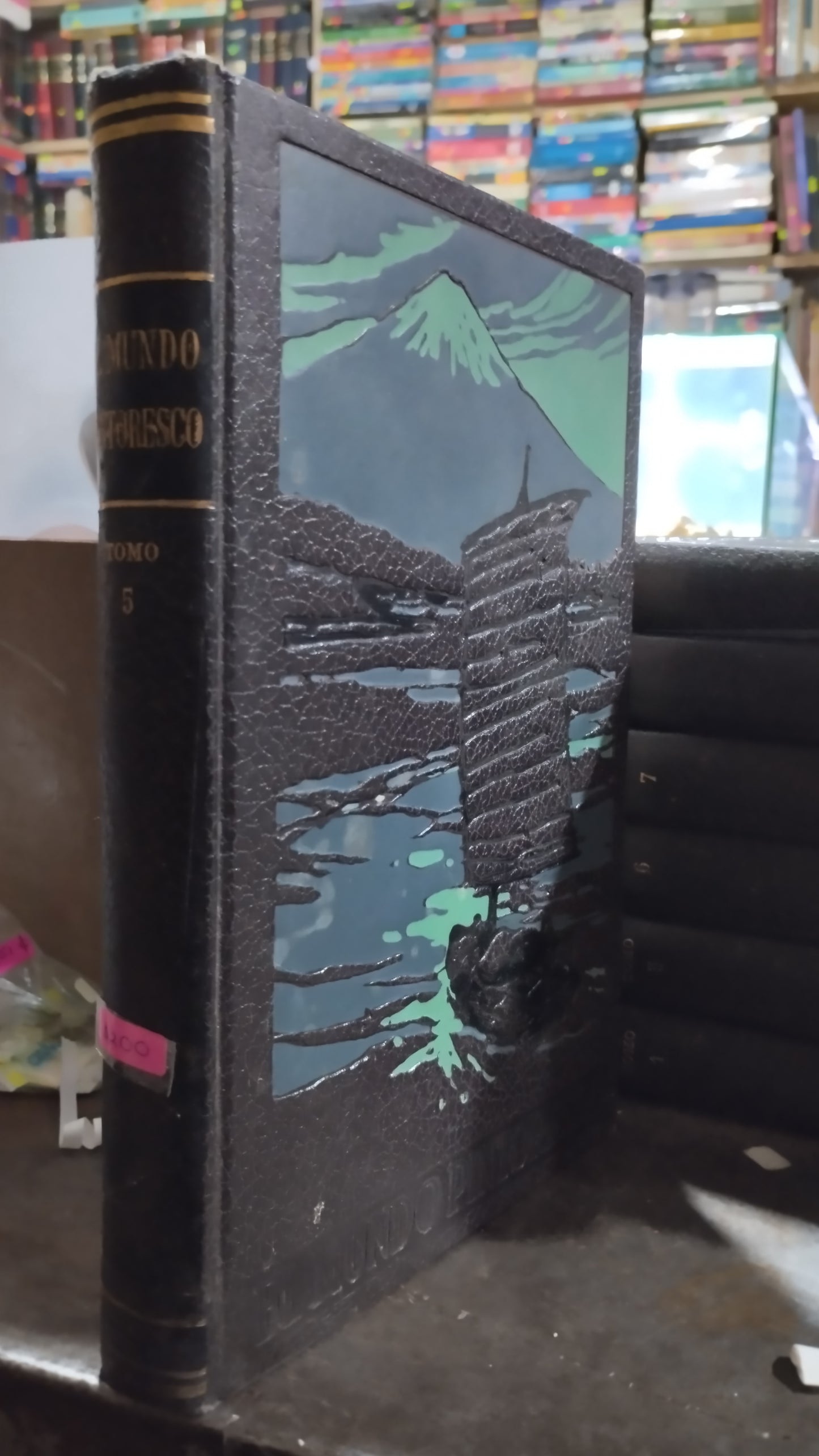 MUNDO PINTORESCO 5 LIBRO USADO HISTORIA ALDAMA