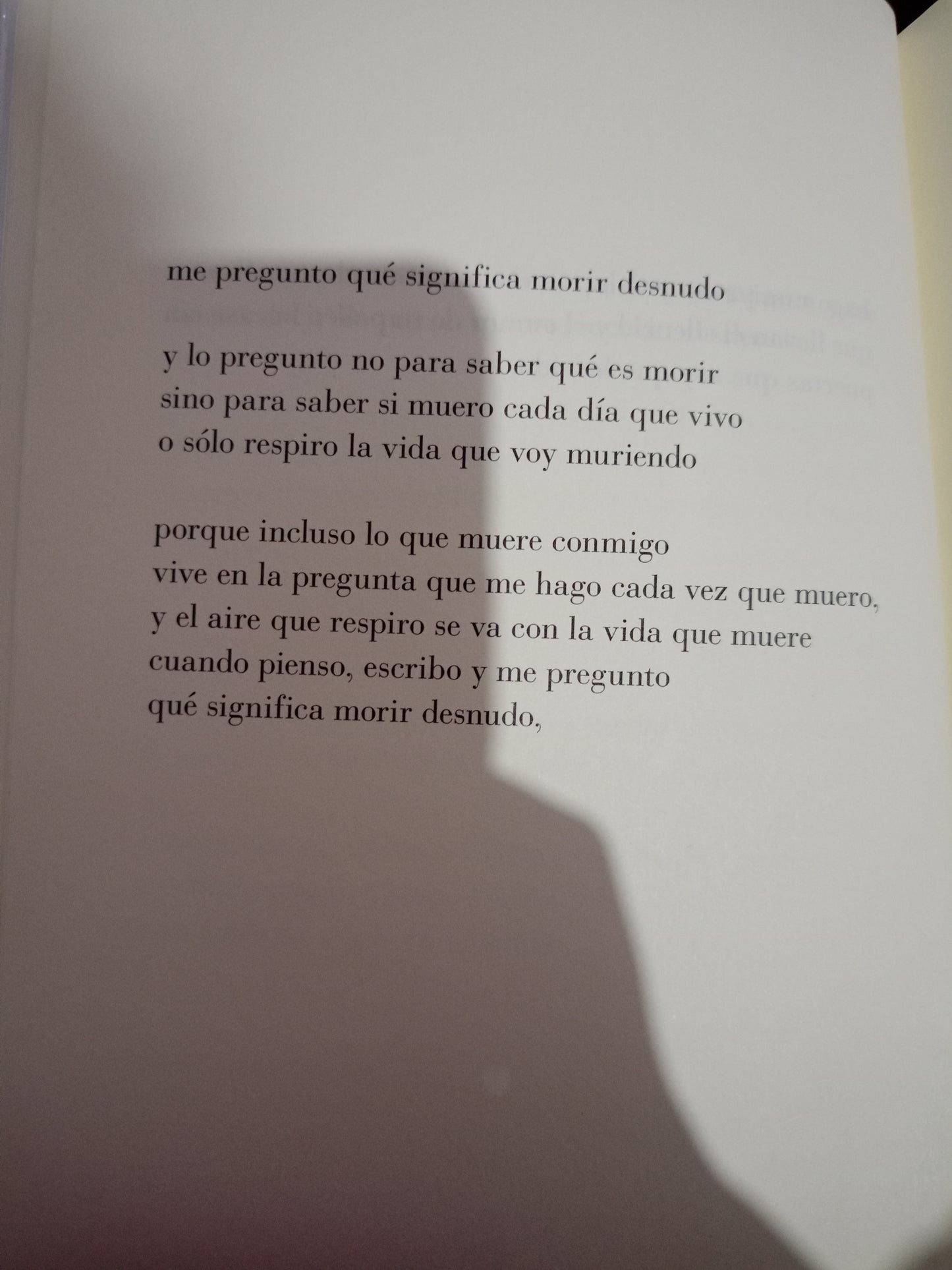 PAPELES ROBADOS AL FUEGO POR IGNACIO RUIZ USADO POESIA LITERARIO #305