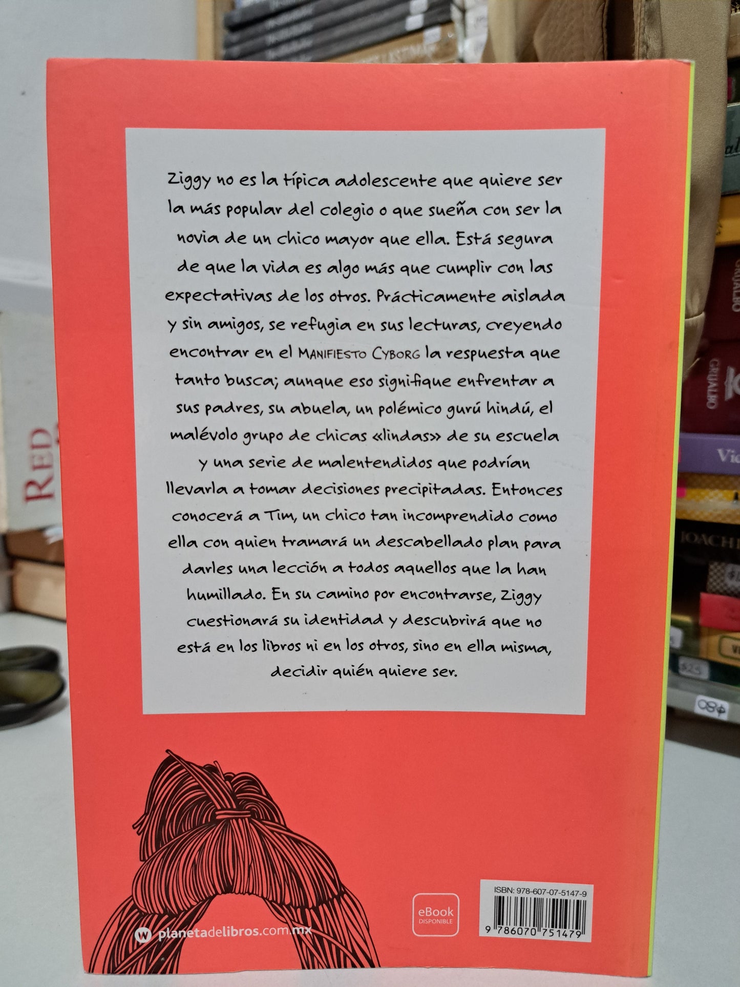 INADAPTADA LEXI FREIMAN USADO NOVELA JUÁREZ