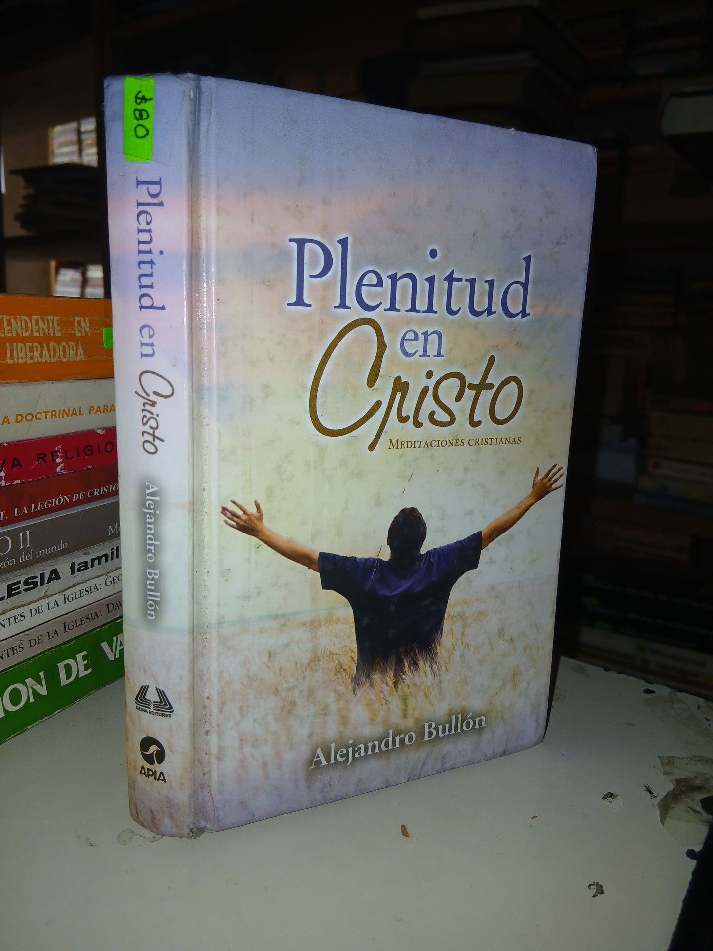 PLENITUD EN CRISTO. MEDITACIONES CRISTIANAS POR ALEJANDRO BULLÓN USADO RELIGIÓN LITERARIO 207